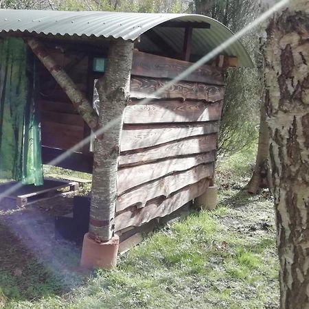 Sapphire Forest Garden Shepherd'S Hut Church Stretton Exterior foto