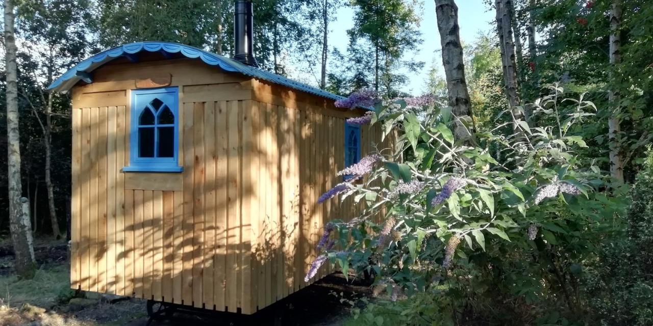Sapphire Forest Garden Shepherd'S Hut Church Stretton Exterior foto